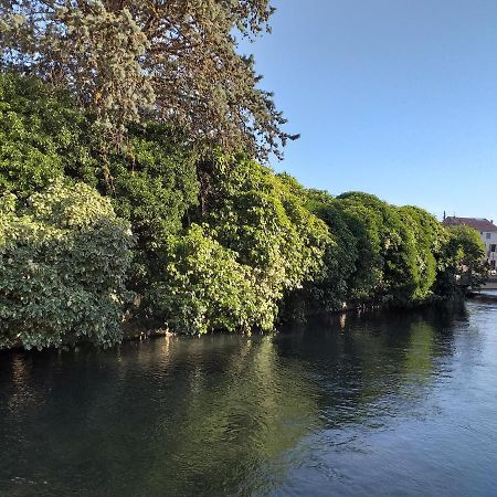 Le Petit Jardin ... Otel LʼIsle-sur-la-Sorgue Dış mekan fotoğraf